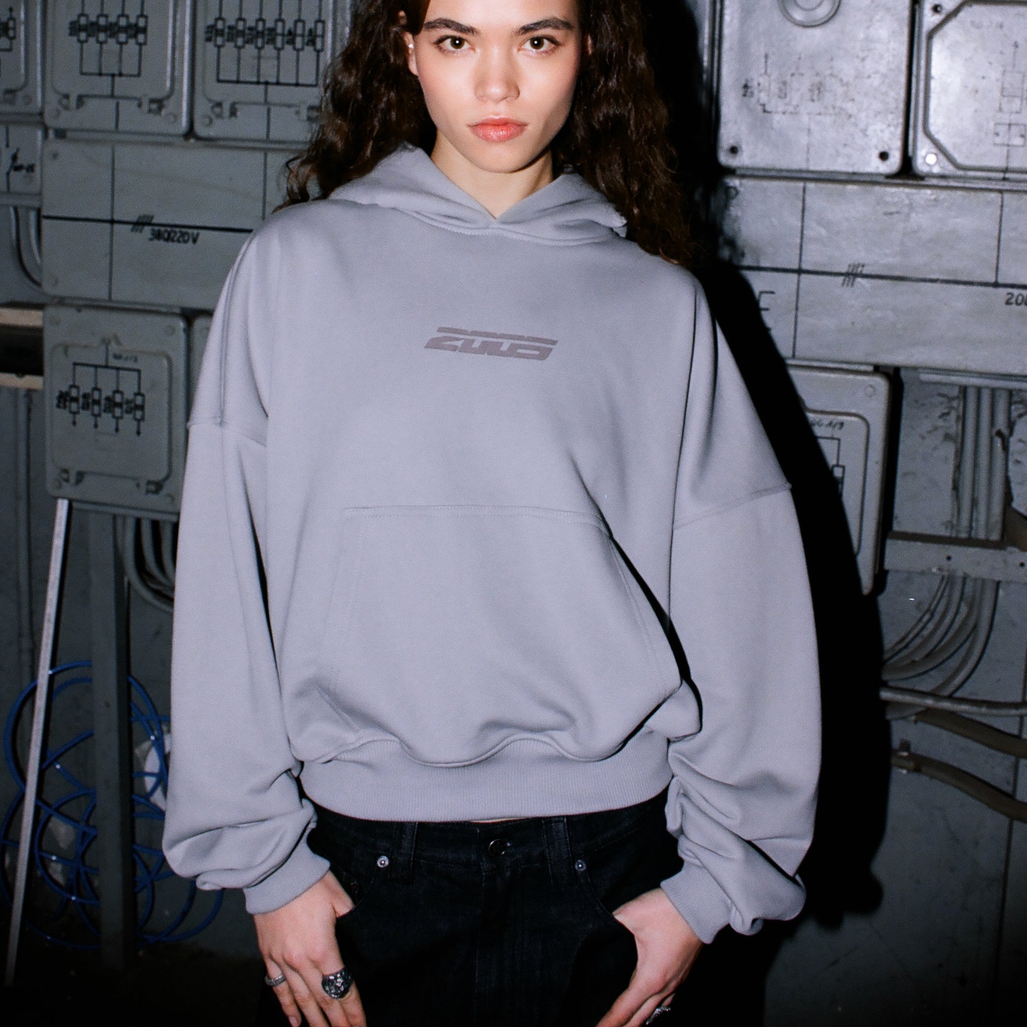 Core Hoodie - Ash Grey